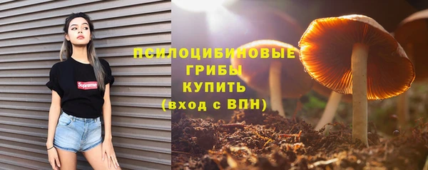 а пвп мука Зеленодольск