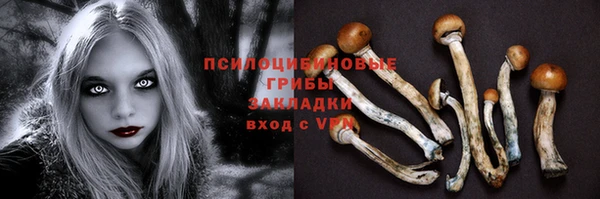 а пвп мука Зеленодольск