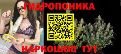 прущие грибы Кунгур