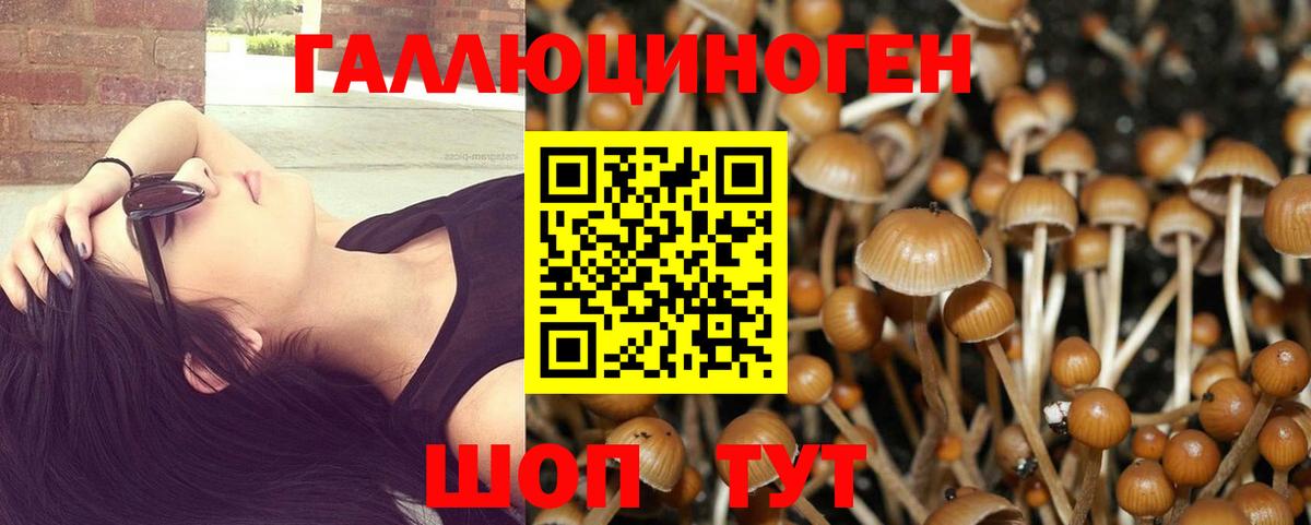 Галлюциногенные грибы GOLDEN TEACHER Саяногорск